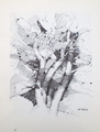 Illustration Illustration